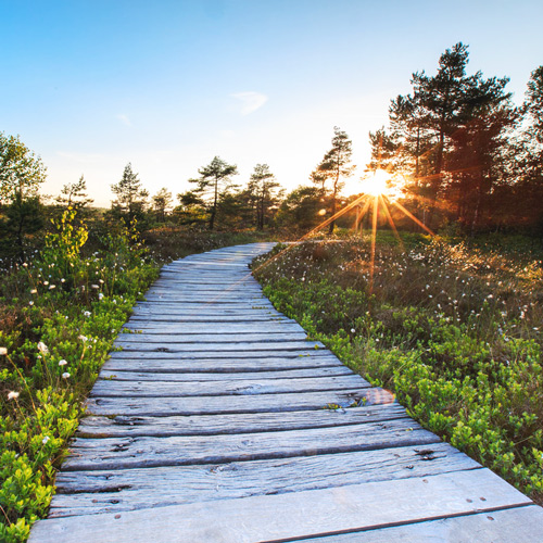 Therapie Weg Steg